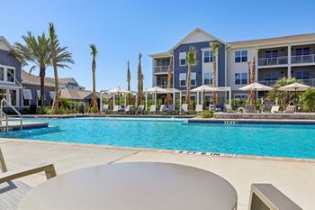 Large swimming pool with loungers and palm trees